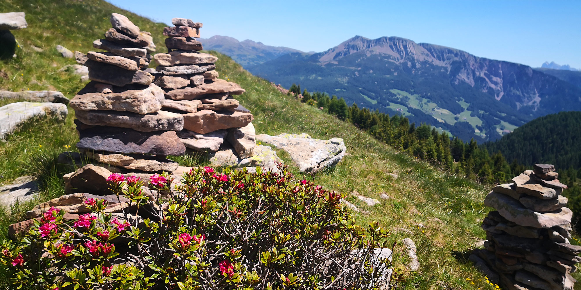 Wanderungen in Mölten